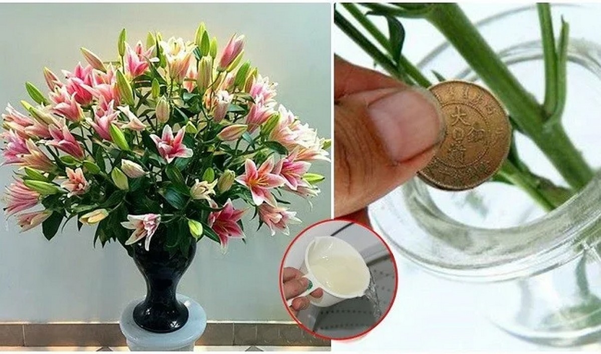 cách bảo quản hoa tươi - hình 5