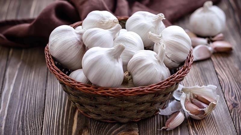 Cách chữa ong đốt hết sưng nhanh nhất là gì? Những điều cần lưu ý khi bị ong đốt 4