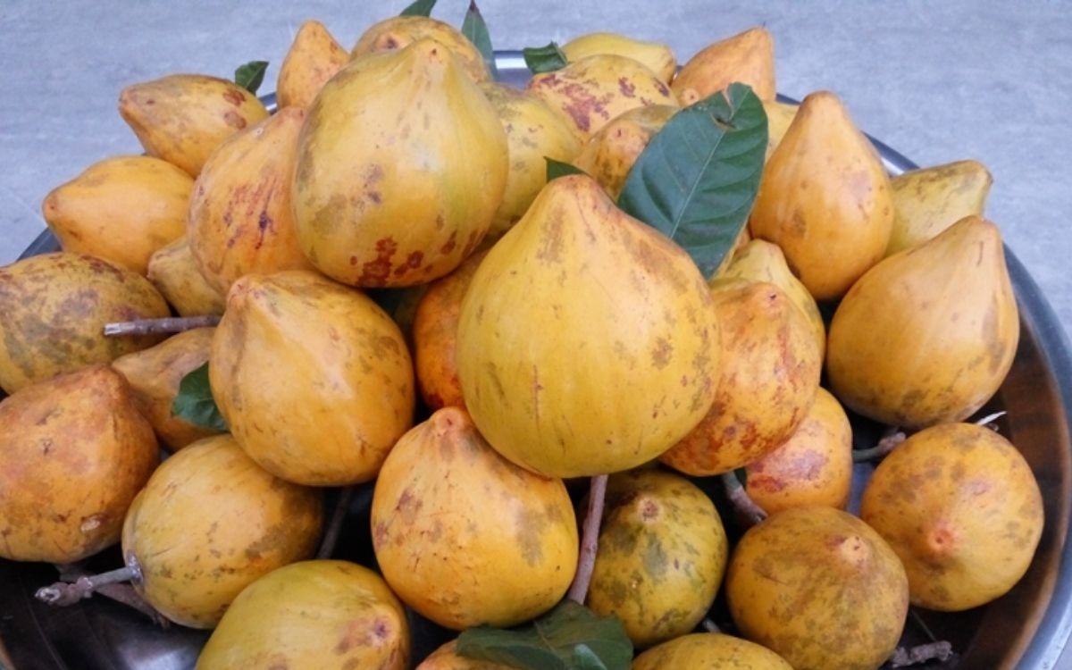 9. Cách chọn lê ki ma