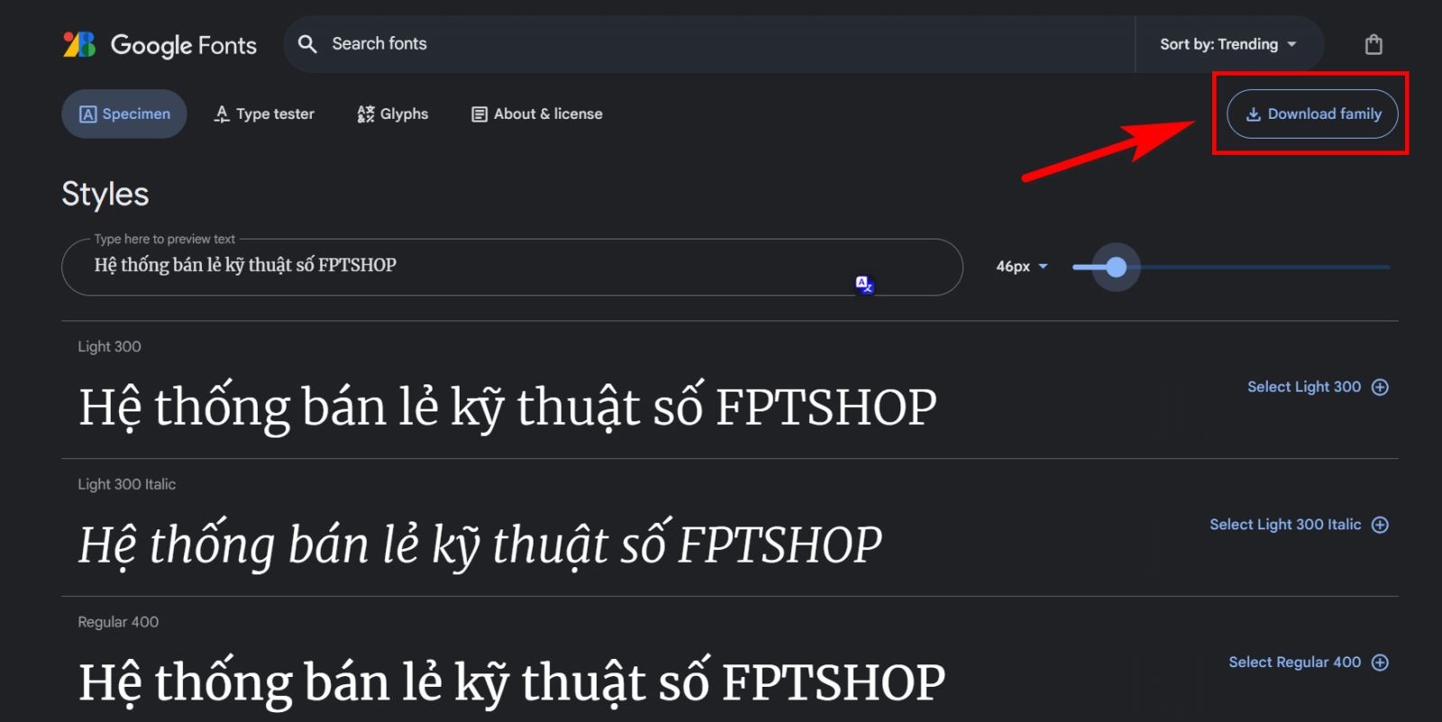 Google fonts tiếng Việt 6