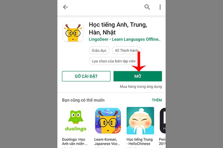 LingoDeer (Hình 11)