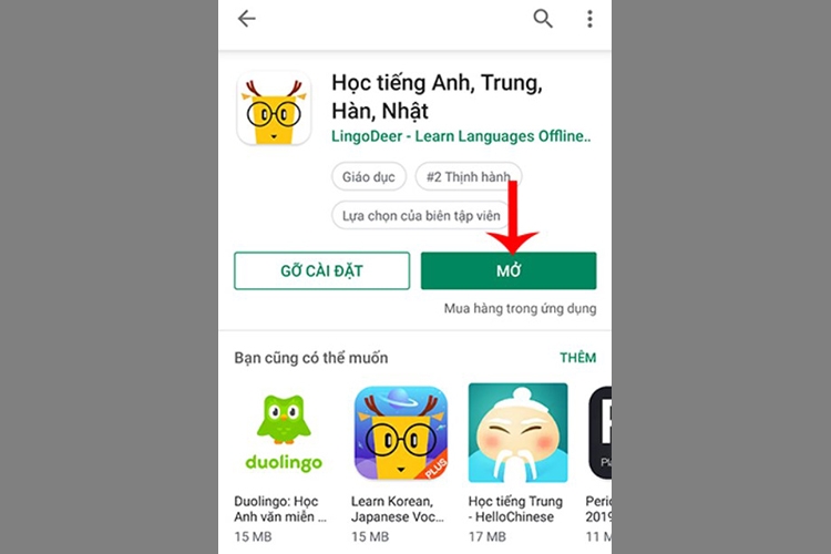 LingoDeer (Hình 12)