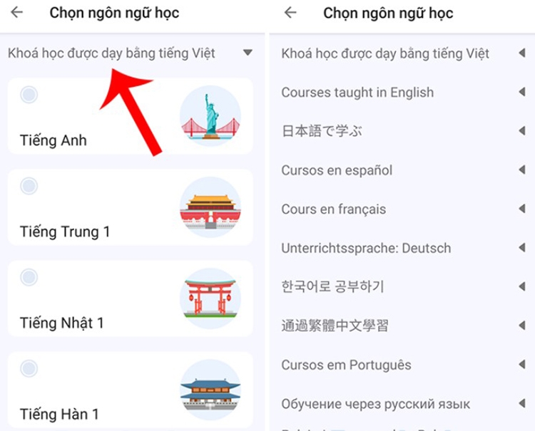 LingoDeer (Hình 15)
