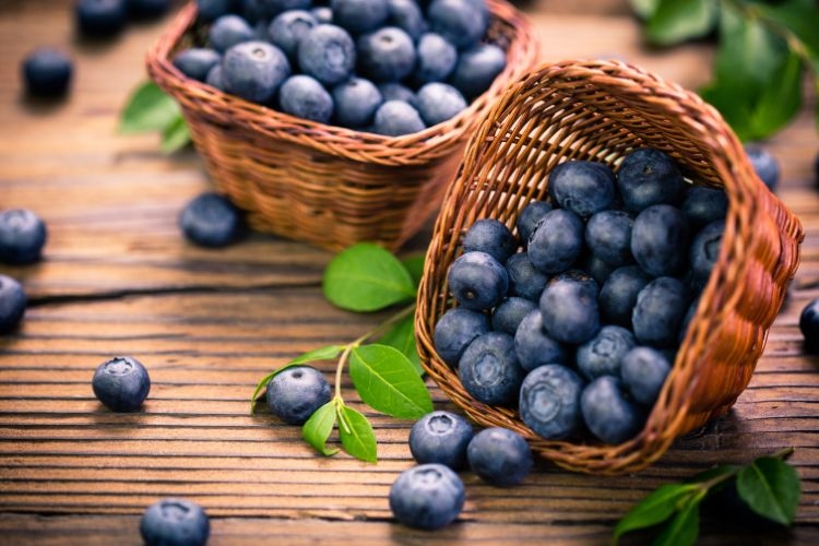 Quả việt quất tươi ngon với vỏ màu xanh lam đậm đẹp mắt