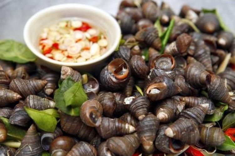 Ốc vặn hấp, luộc giòn ngọt tự nhiên