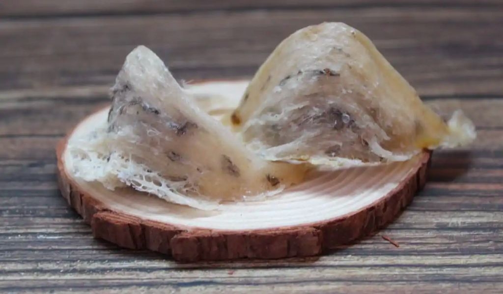 Cách sơ chế yến thô đơn giản, tiết kiệm công sức và bảo quản đúng để đảm bảo dưỡng chất 1