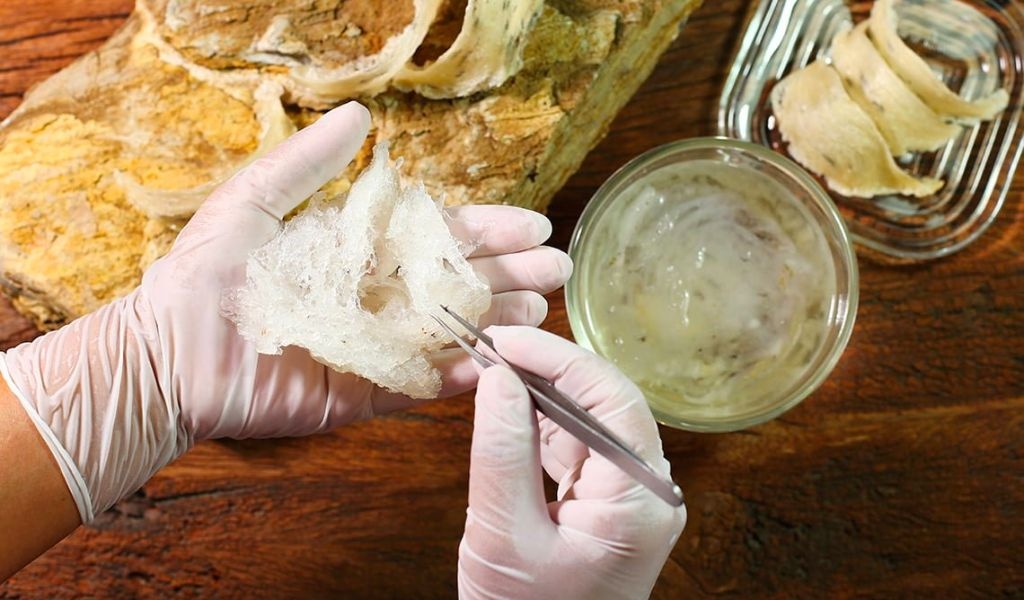 Cách sơ chế yến thô đơn giản, tiết kiệm công sức và bảo quản đúng để đảm bảo dưỡng chất 3