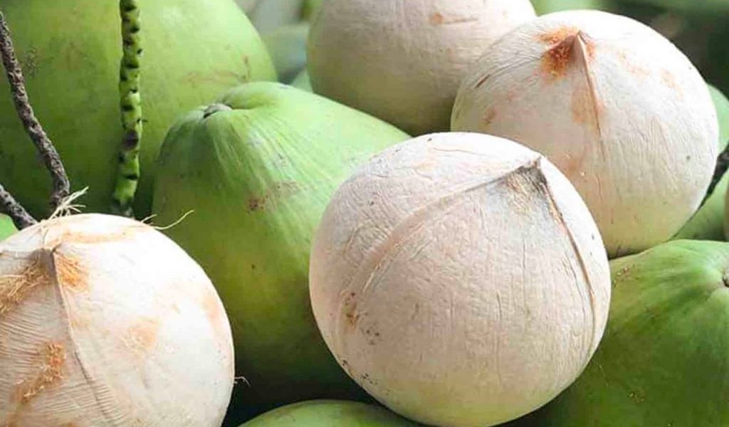 Cách bảo quản dừa đã gọt vỏ, chưa gọt vỏ lâu dài, đảm bảo hương vị tươi ngon 5