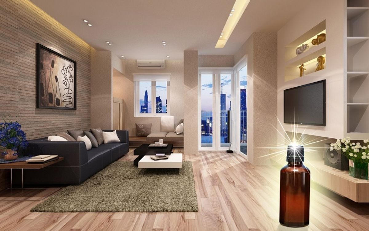 Mang lại không gian thoải mái, mát mẻ và khử mùi