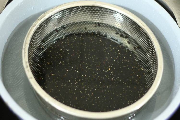 Cách làm sữa đậu đen nhiều dinh dưỡng bằng máy làm sữa hạt đơn giản tại nhà Hình 2