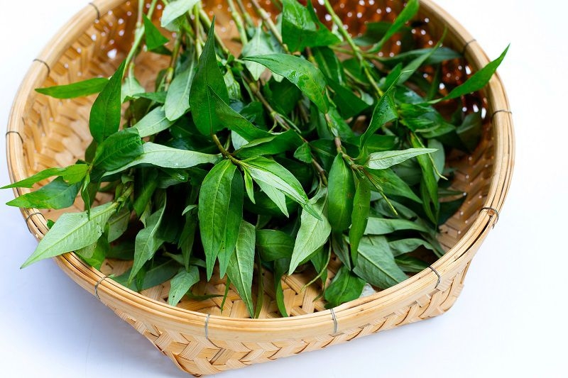 Rau răm rửa sạch