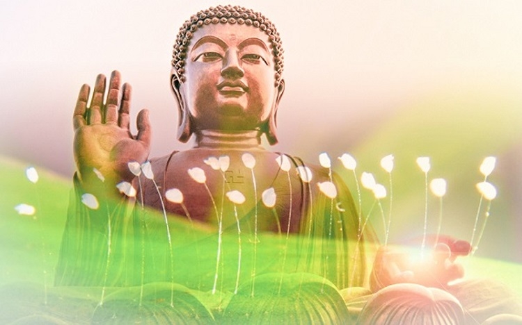 Hoa ưu đàm tượng trưng cho sự thanh khiết, trong sạch của con người theo giáo lý nhà Phật