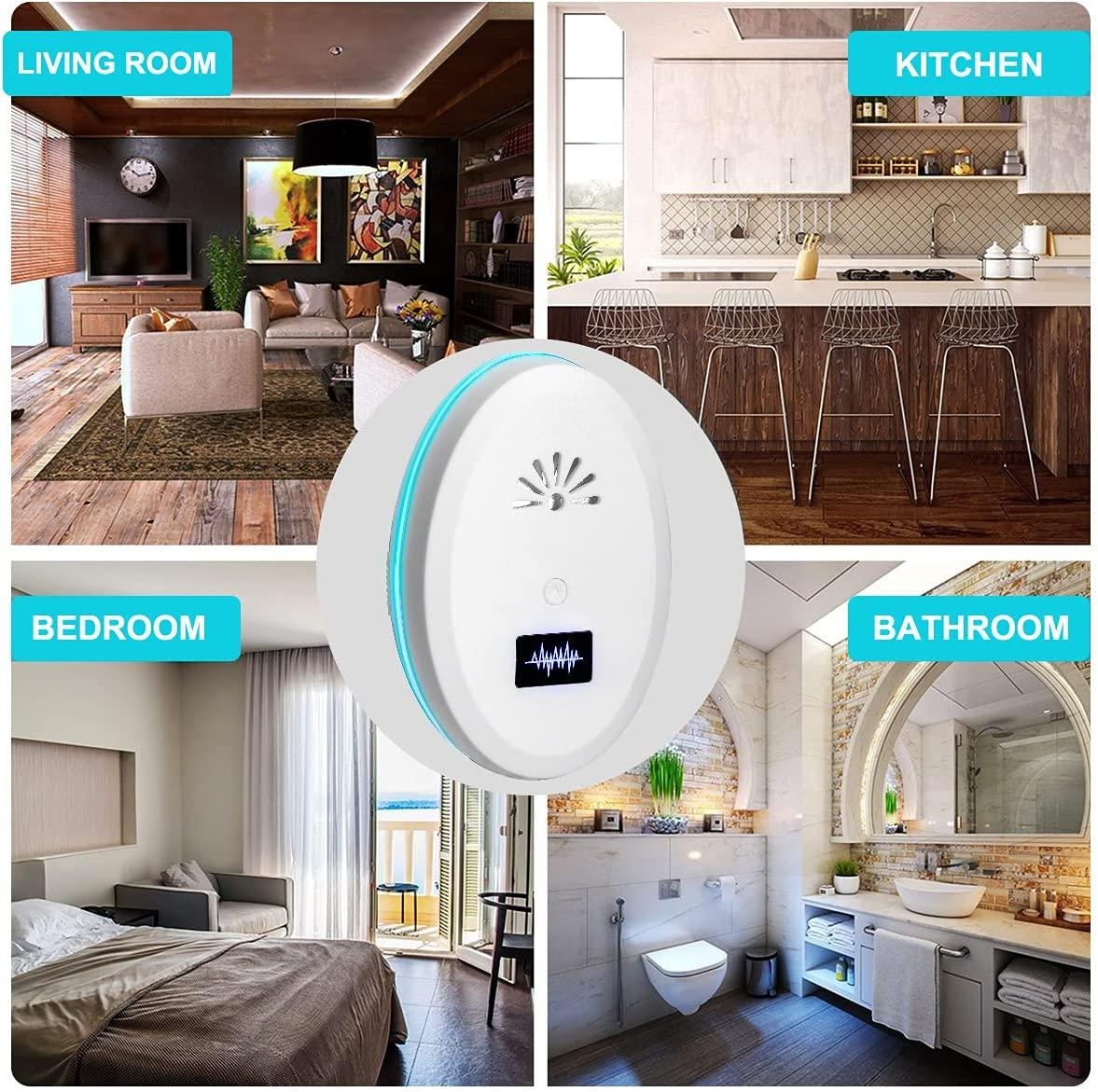 Diện tích phù hợp để đuổi chuột