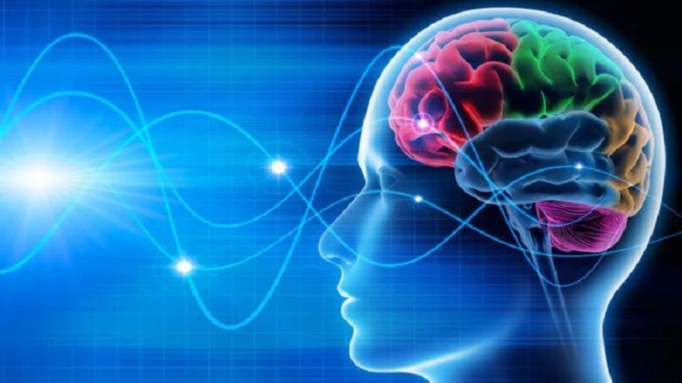 Se hur hjärnan reagerar under hypnos med hjärnvågor och neuroplasticitet.