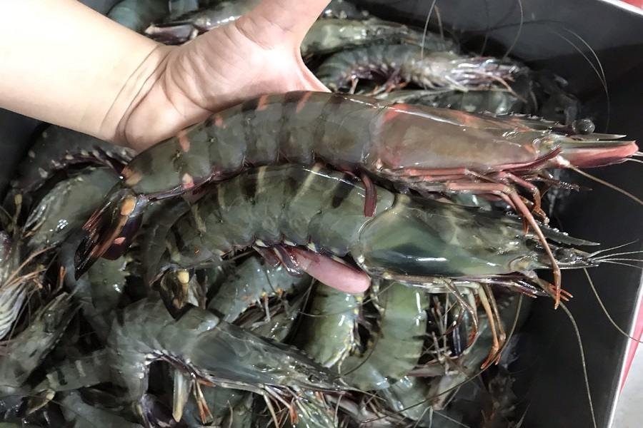 cách nấu lẩu hải sản - hình 1