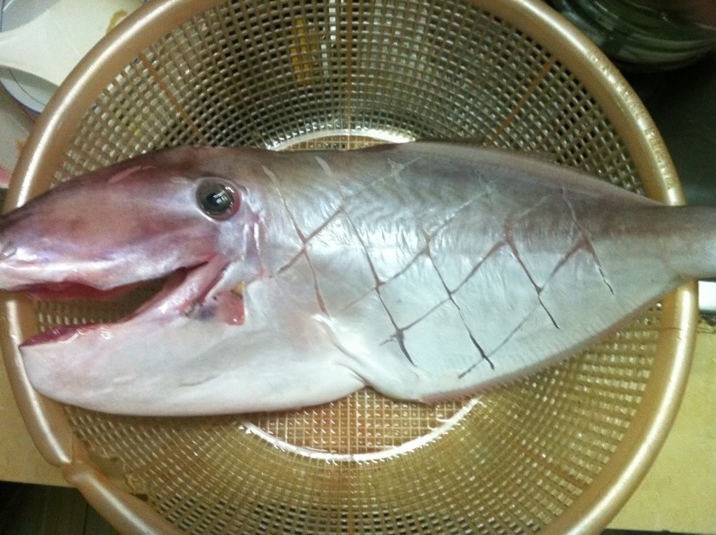 cá bò da nướng 3