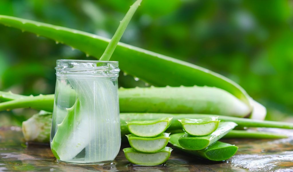 Cách sơ chế nha đam dai giòn, không nhớt, không đắng để chiến món ăn ngon hơn 2
