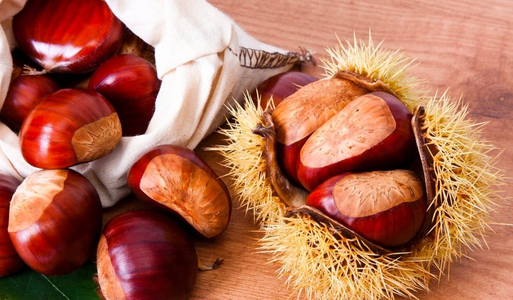 Bạn đã biết cách làm sữa hạt dẻ thơm ngon, đơn giản và lợi ích dinh dưỡng của loại hạt này 4