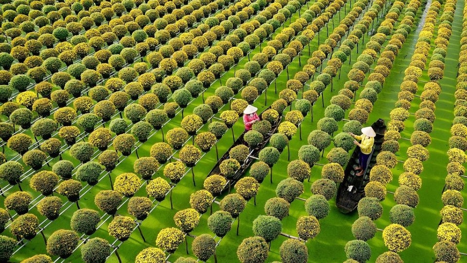 Biển số 66 là tỉnh nào?