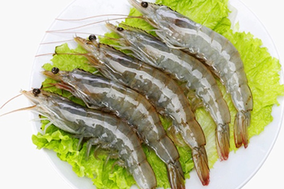 Tôm rảo có giá trị dinh dưỡng cao