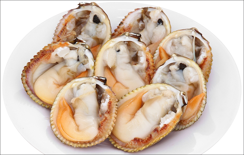 Lợi ích của sò dương với sức khỏe