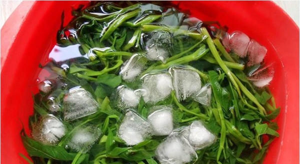 Ngâm rau muống bằng nước đá