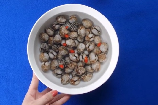 Ngâm sò huyết cho sạch với nước muối ớt