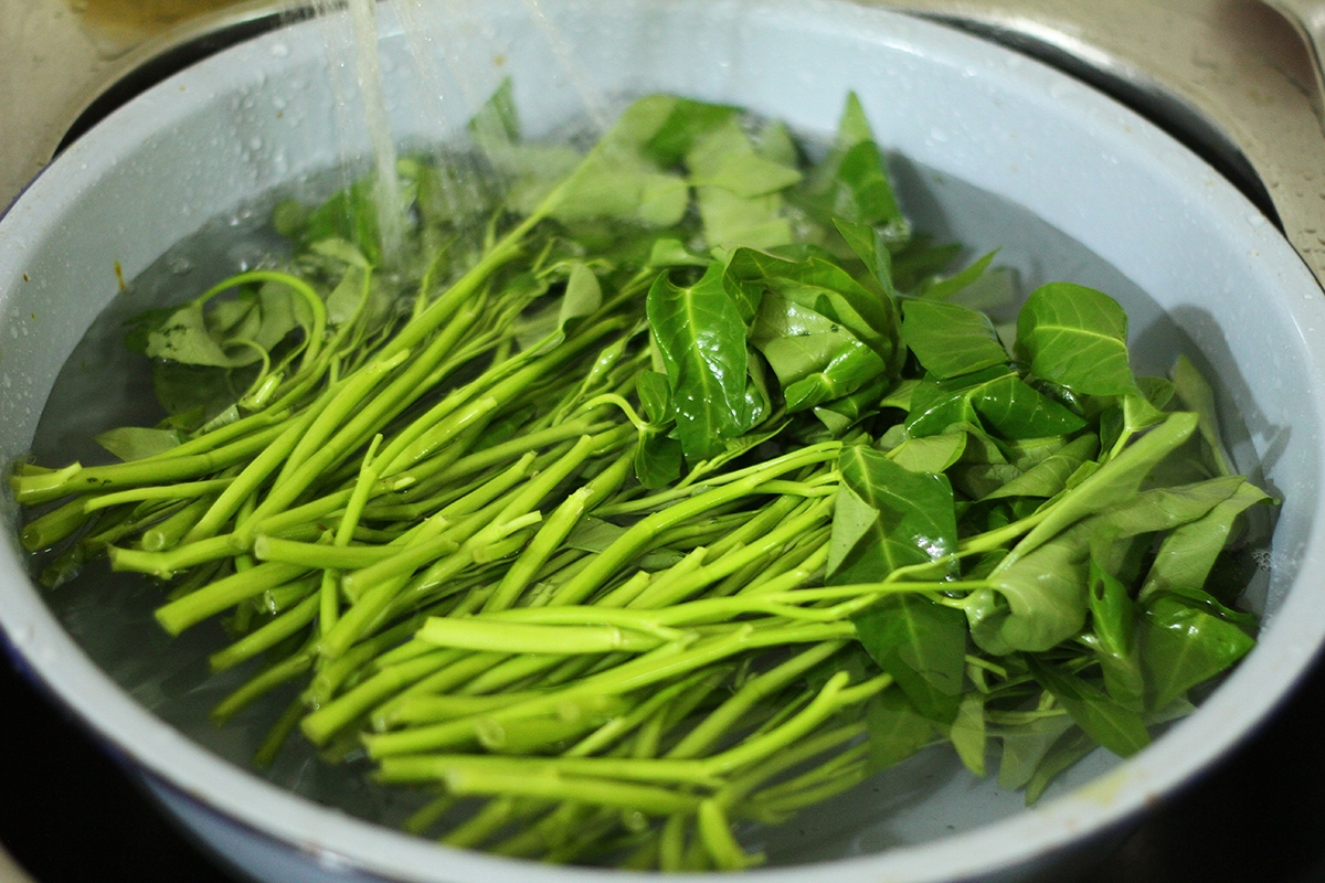 Rửa rau muống