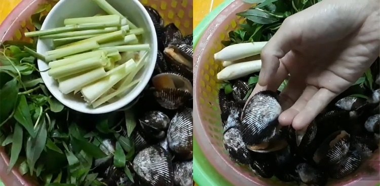 Cách sơ chế sò lông
