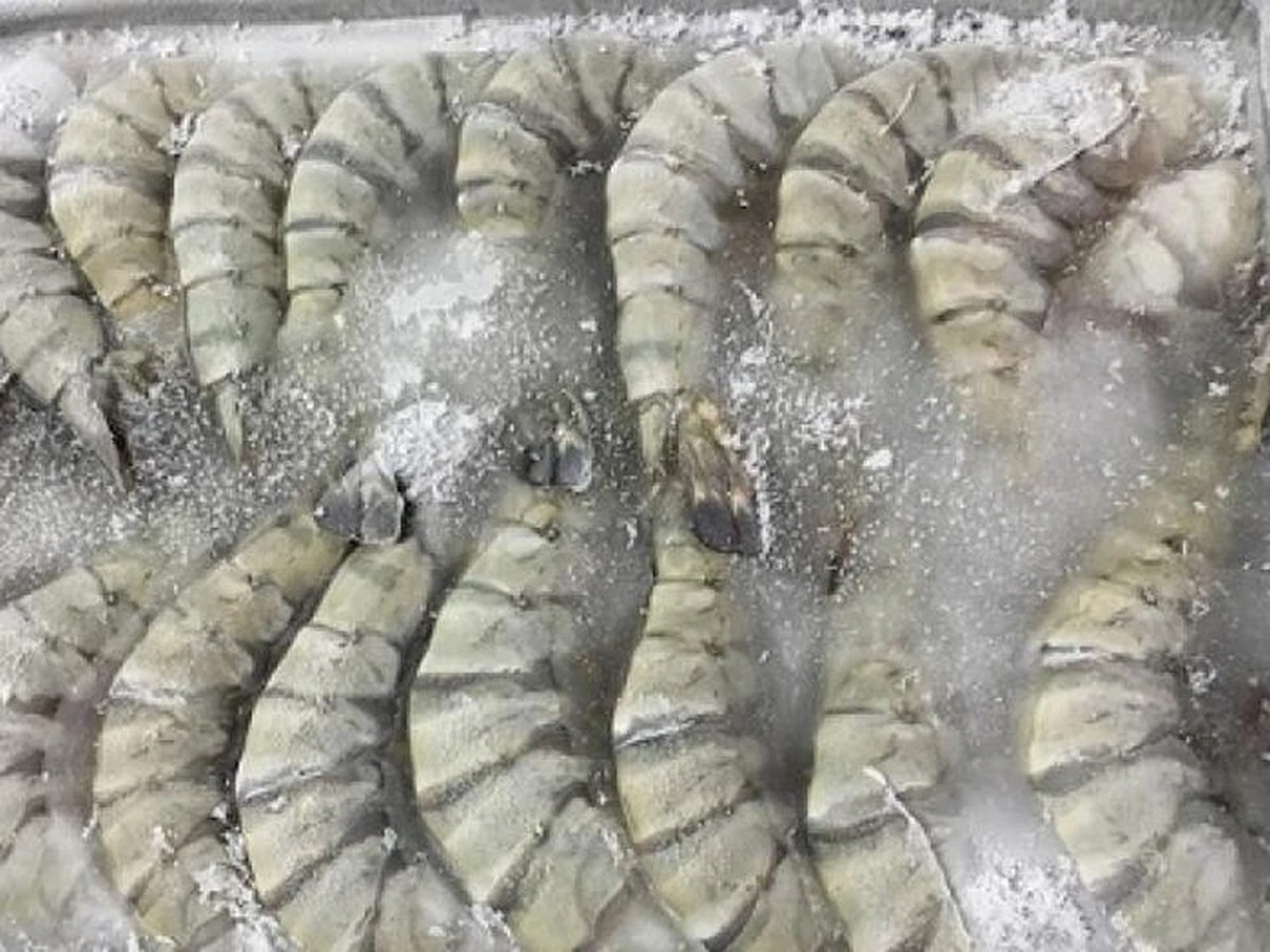 cách bảo quản tôm tươi đi xa - hình 4