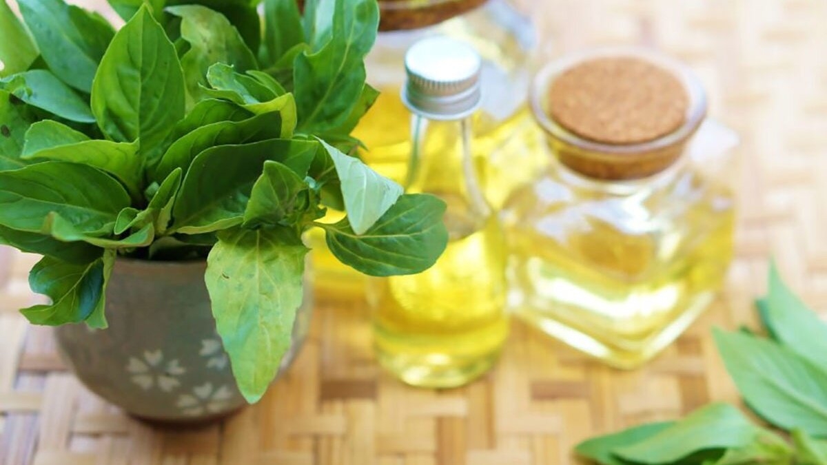 tinh dầu đuổi muỗi hình 4