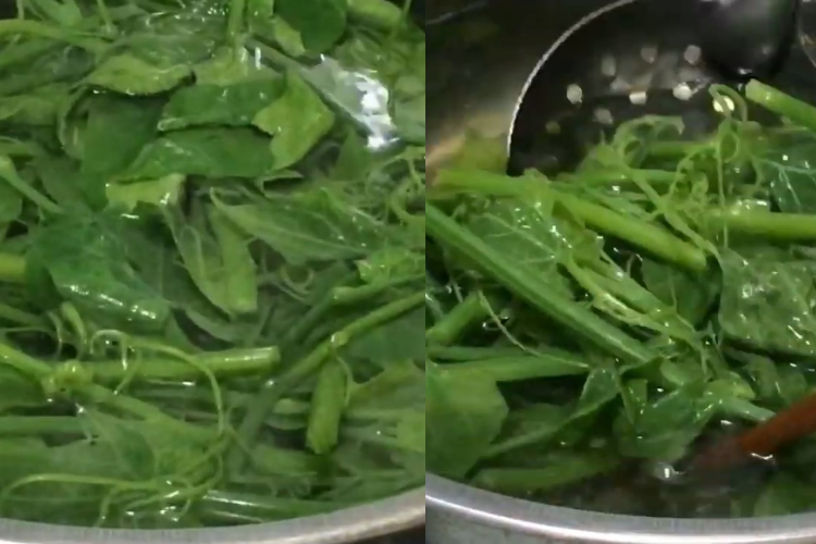 Tổng hợp nhanh 2 cách xào đọt su su ngon miệng, đơn giản, dễ làm, phù hợp với khẩu vị cả gia đình hình 8