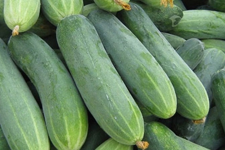 Cách làm kim chi dưa leo (Hình 2)