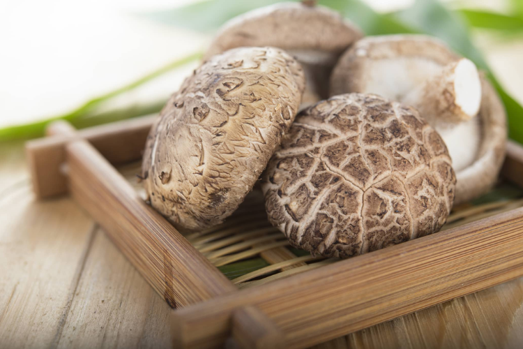 Công thức nấu mì gà tiềm thơm ngon, bổ dưỡng, dễ dàng chế biến phù hợp với khẩu vị của cả gia đình hình 2
