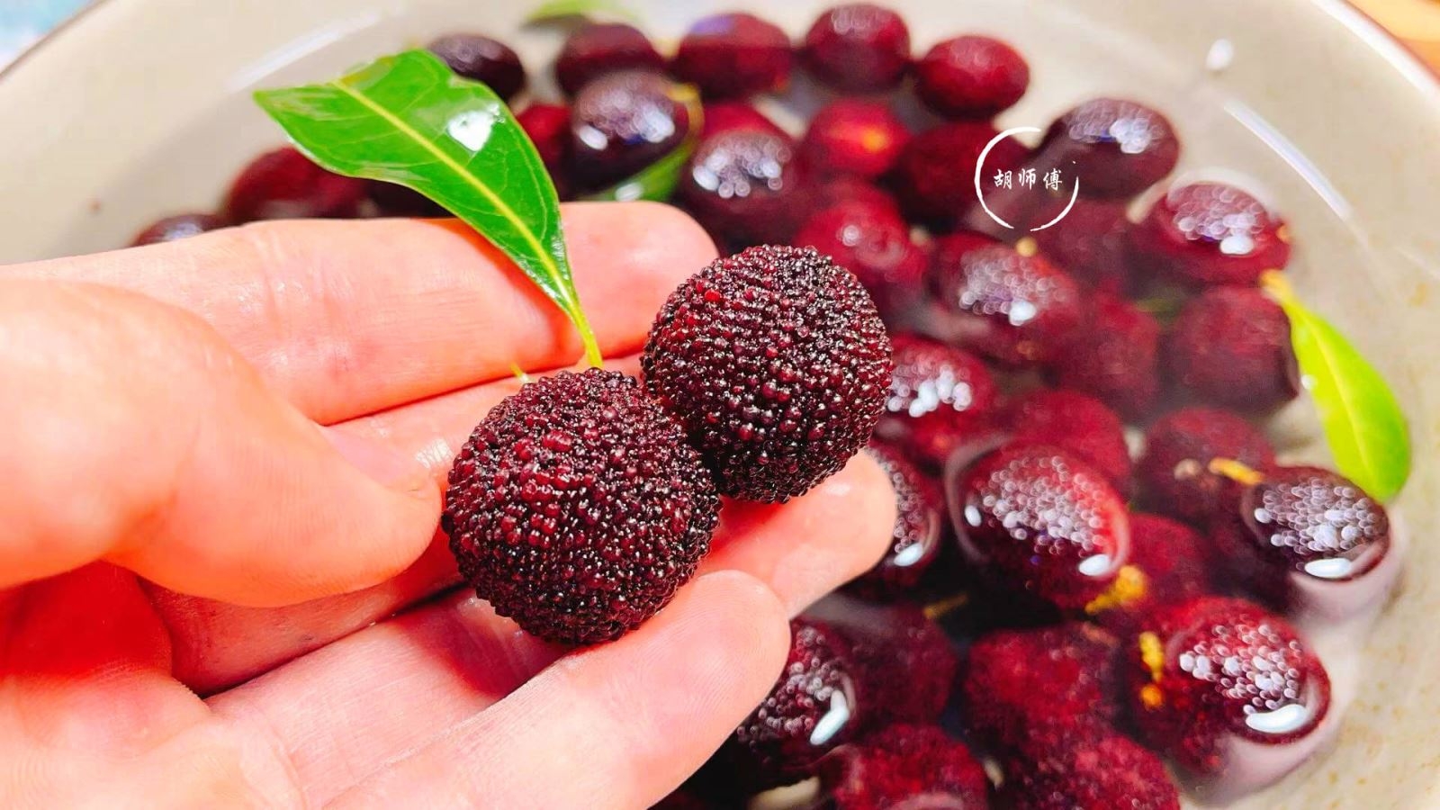 Cách chọn mua quả thanh mai