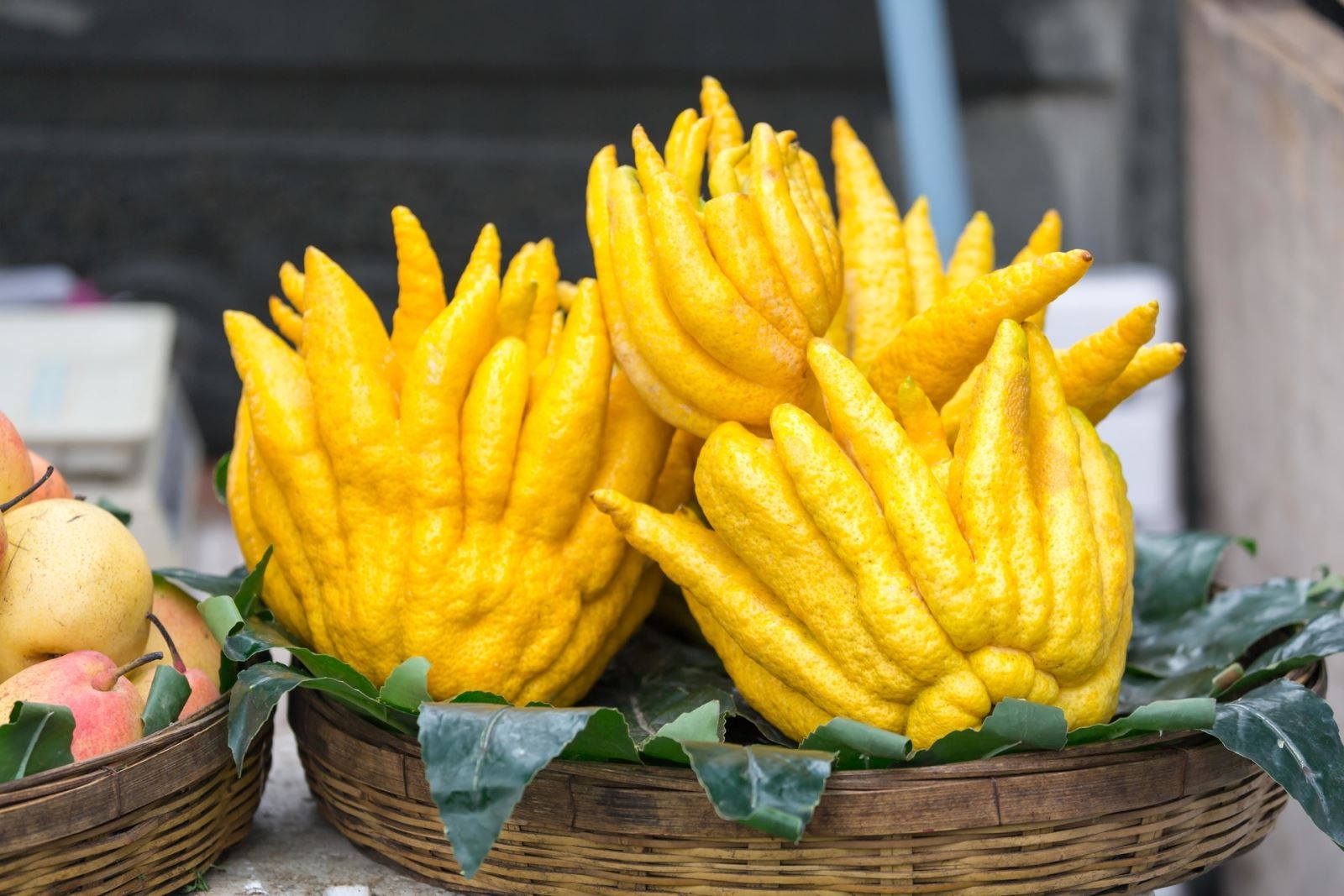 quả phật thủ hình 3