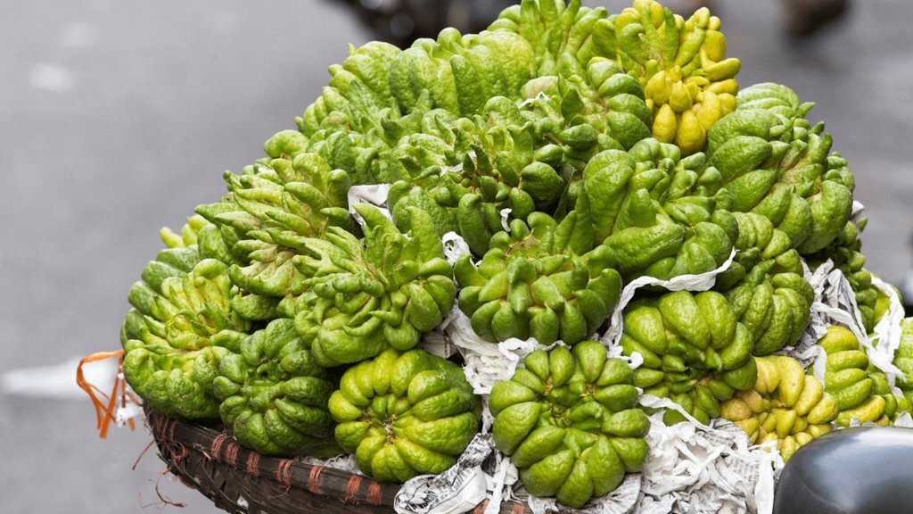 quả phật thủ hình 5