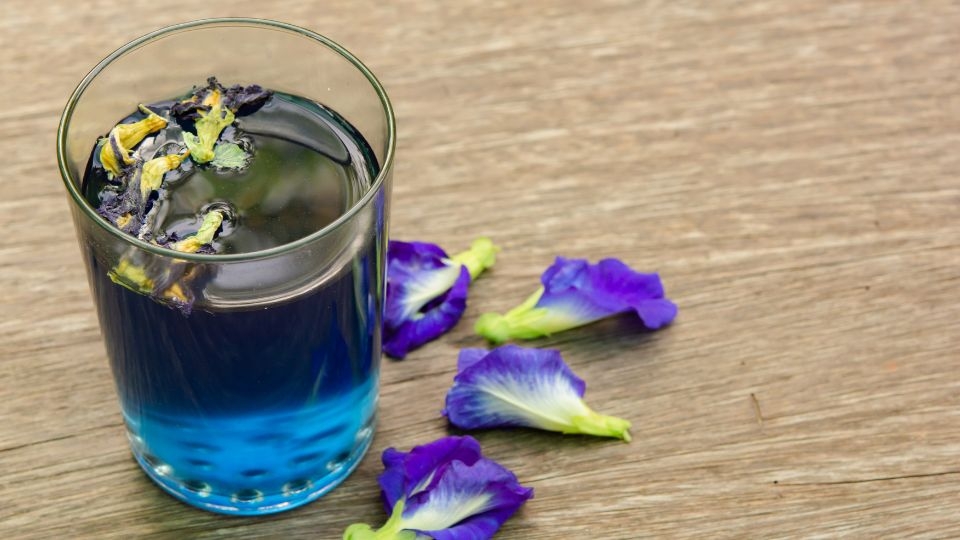 Bước 1: Ngâm hoa đậu biếc rồi lọc lấy nước cốt