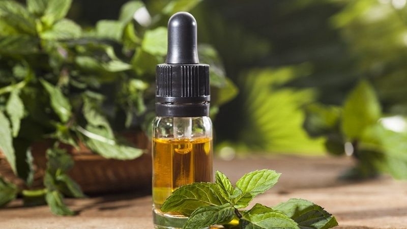 tinh dầu bạc hà 114