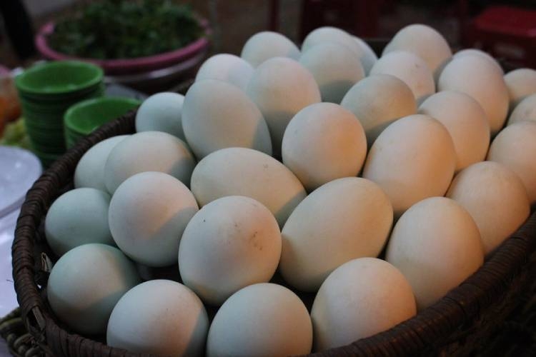 Chia sẻ cách làm lẩu hột vịt lộn cực hấp dẫn, thơm ngon, bổ dưỡng cả nhà đều thích mê Hình 7
