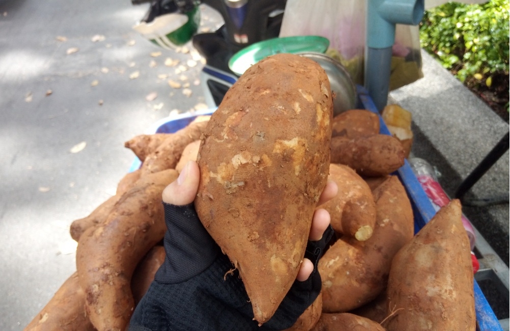 cách ăn củ sâm đất 16