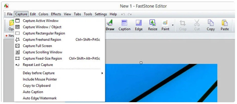 FastStone Capture - Ảnh 03