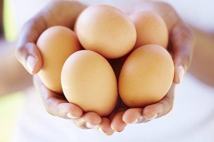 Học cách làm cơm Tonkatsu Nhật Bản ngon chuẩn vị dễ thực hiện làm ngay tại nhà Hình 3