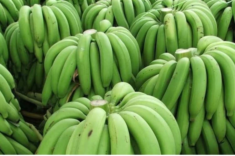 Cách chọn chuối xanh