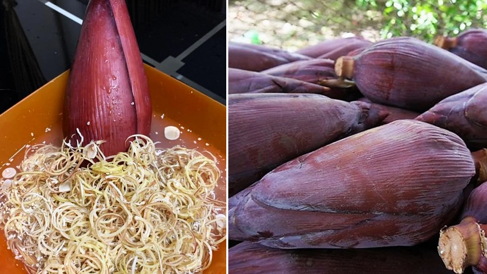 Mẹo chọn mua hoa chuối để xào tỏi.