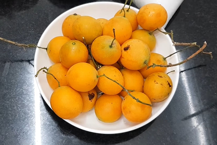 Mứt thanh trà (hình 2)