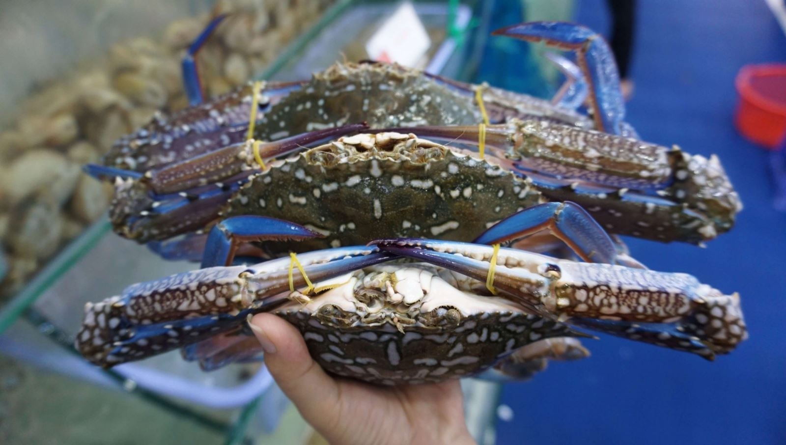 Mẹo chọn mua ghẹ ngon