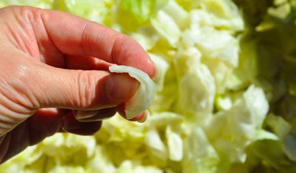 Cách làm kim chi bắp cải giòn ngon, bảo quản được lâu dài và những lỗi thường gặp nên tránh 1