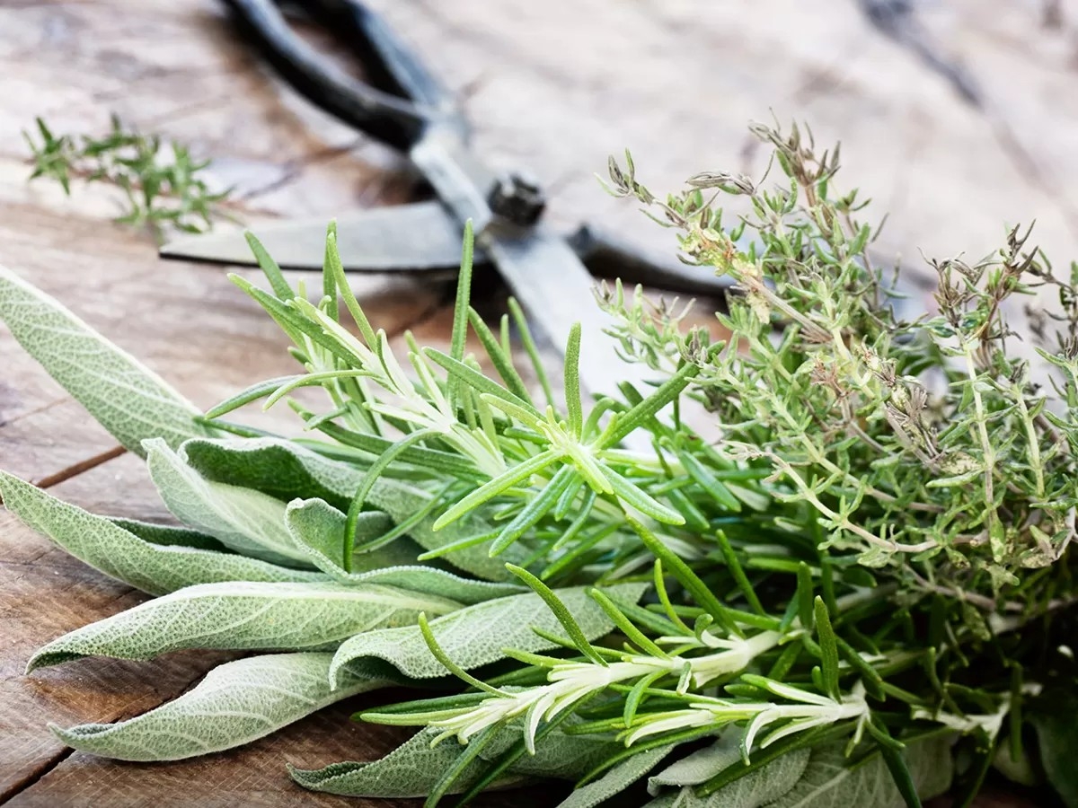 thực phẩm không nên bảo quản trong tủ lạnh - hình 5