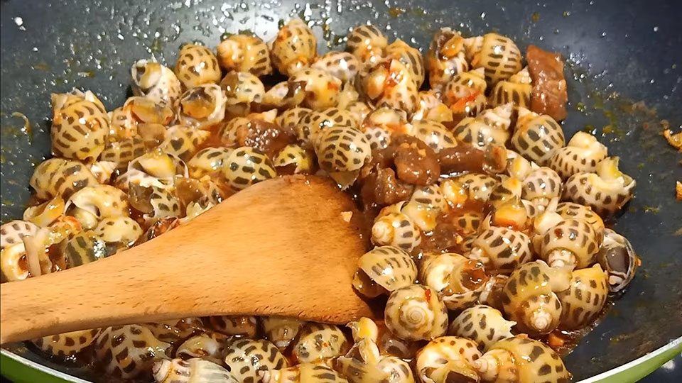 Xào ốc cho ngấm sốt
